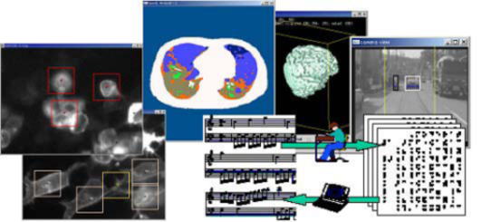 Research Activities on Gotoh Lab.